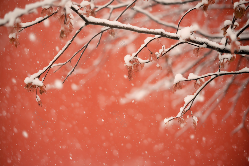 北京故宫红墙的雪景,高清,摄影图,摄影图片,图片大全,摄影图免费下载
